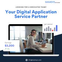 Mamsys Consulting Services Ltd image 4