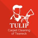 Tulip Carpet Cleaning of Teaneck logo