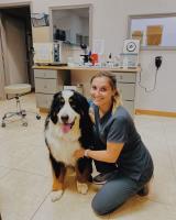 Care Pet Animal Hospital image 4