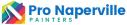 Pro Naperville Painters logo