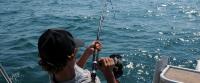 Aloha Fishing Charters image 1
