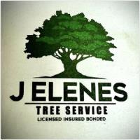 J Elenes Tree Service image 1
