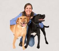 Online Dog Training image 4