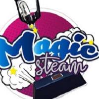 Magic Steam Carpet Cleaning image 1