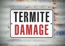 Blake Island Termite Removal Experts logo