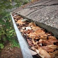 Panther City Gutter Solutions image 2