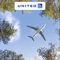 United Airlines image 3