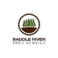 Saddle River Tree Service image 1
