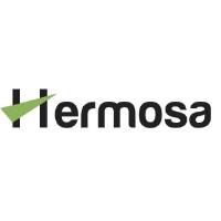 Hermosa Loans - Texas Cash Advance image 1