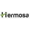 Hermosa Loans - Texas Cash Advance logo