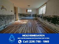 M&D Water Damage Water Restoration Fort Myers image 4
