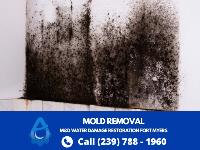 M&D Water Damage Water Restoration Fort Myers image 6