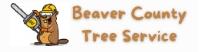 Beaver County Tree Service image 3