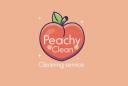 Peachy Clean FL logo