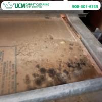 UCM Carpet Cleaning of Plainfield image 2