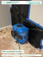 UCM Carpet Cleaning of Plainfield image 3