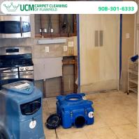 UCM Carpet Cleaning of Plainfield image 4