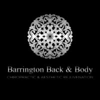 Barrington Back and Body image 1