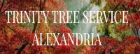 Trinity Tree Service Alexandria image 1
