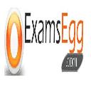 Examsegg logo