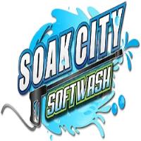 Soak City Softwash LLC image 1