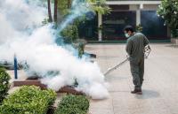 Fog City Termite Removal Experts image 1
