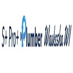S+ Pro+ Plumber Waukesha WI image 1