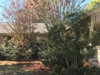 Coppell Tree Service image 3