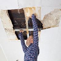 Water Damage Experts of Peach State image 3