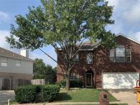 Coppell Tree Service image 6