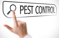 Best Small City Pest Control Solutions image 2