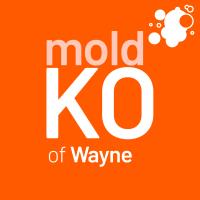 Mold KO of Wayne image 1
