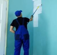 Five Star Fort Collins Painters image 7