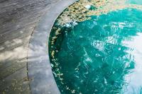 Pool Cleaning Services Charleston image 7