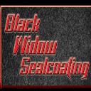 Black Widow Sealcoating logo