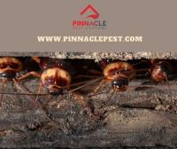 Pinnacle Pest Control of Folsom image 2