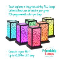 Friendship Lamps image 2