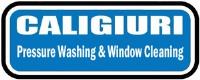 Caligiuri Pressure Washing and Window Cleaning image 1