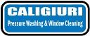 Caligiuri Pressure Washing and Window Cleaning logo
