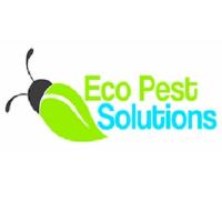 Eco Pest Solutions image 1