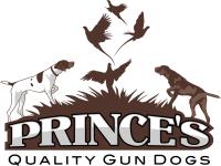 Prince's Quality Gun Dogs image 1