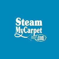 Steam My Carpet image 1