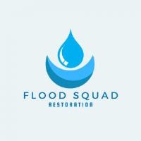 Flood Squad Restoration image 2