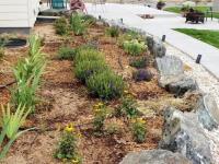 Crush Excavation - Landscaping & Excavating Pros image 2