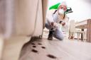 Oil State Termite Removal Experts logo