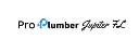 Pro Plumber Jupiter FL logo