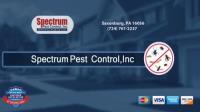 Spectrum Pest Control image 3