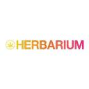 Herbarium Weed Dispensary Needles Marijuana logo