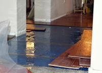 Water Damage Experts of Tree City image 5