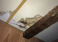 Water Damage Experts of Tree City image 7
